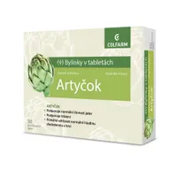 COLFARM Artyčok