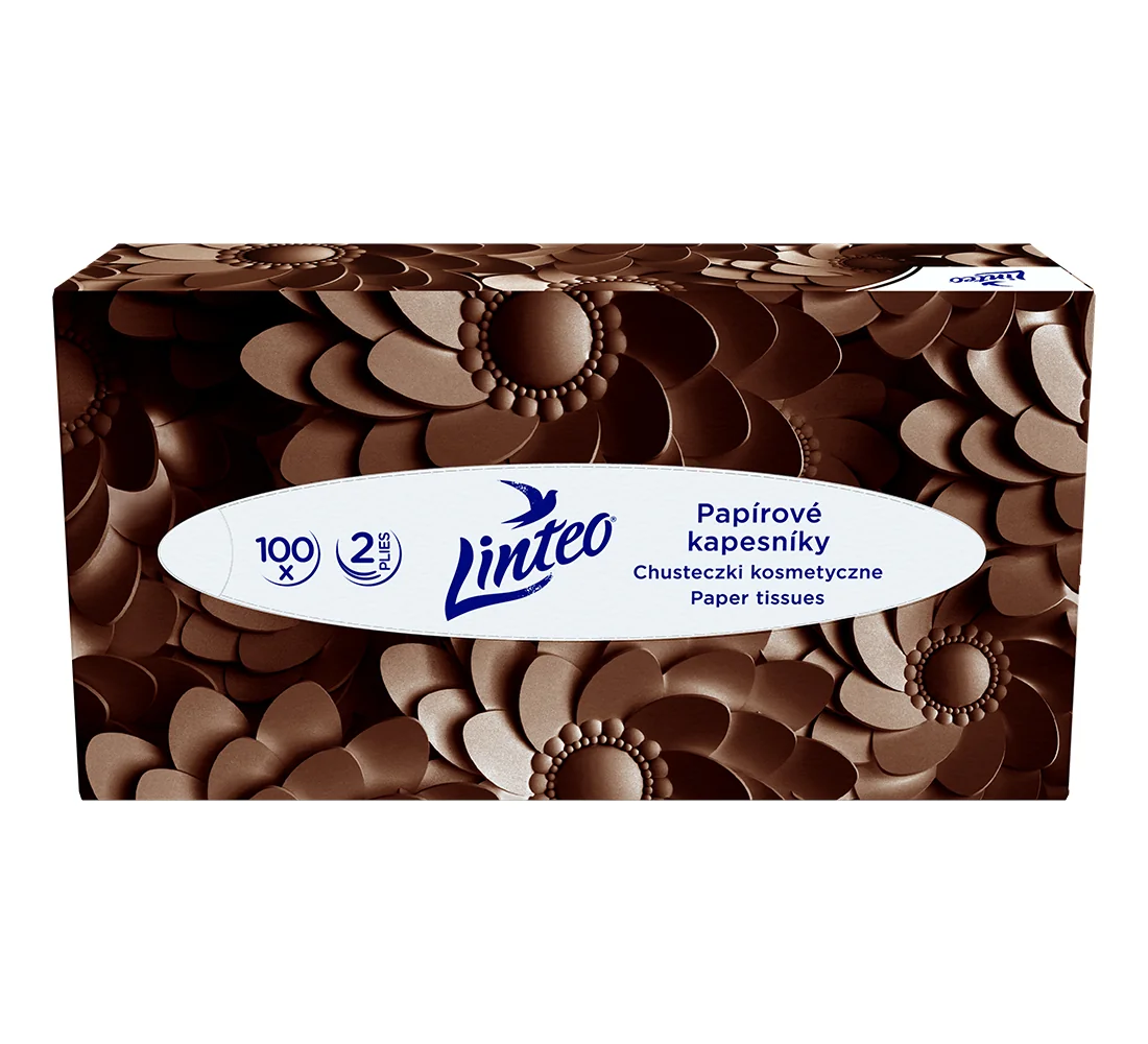 Linteo Papírové kapesníky 2-vrstvé box 100 ks
