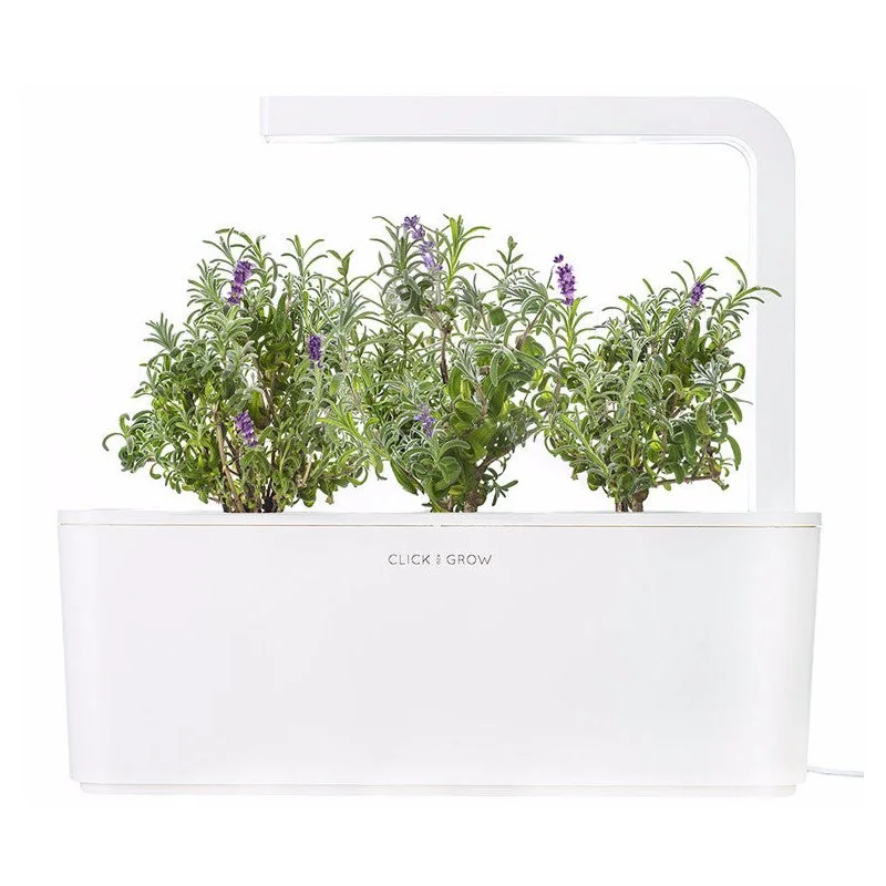 Click & Grow Náplň pro chytré květináče 3 ks - levandule
