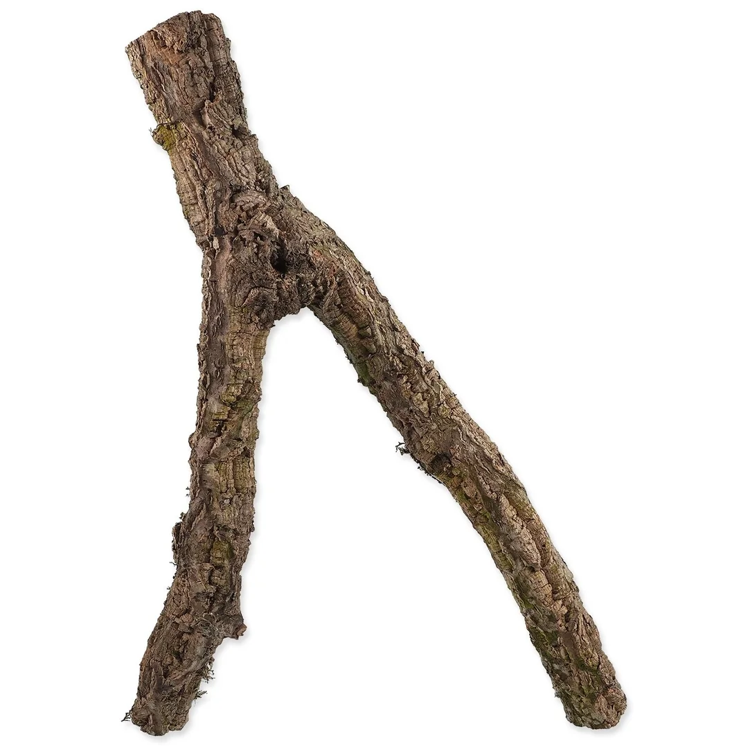 REPTI PLANET Dekorace Korková větev M 30-60 cm