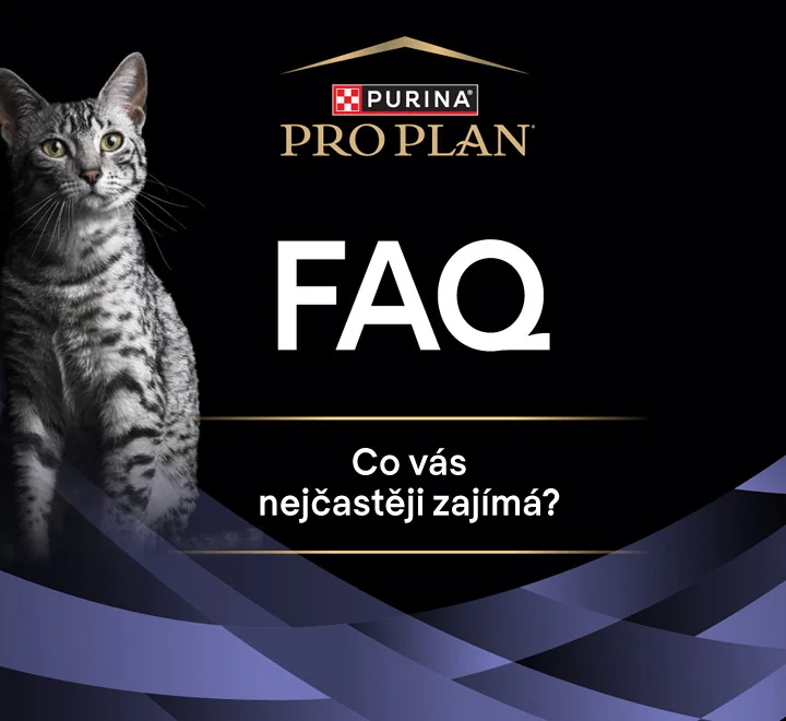 FAQ. Co vás nejčastěji zajímá?