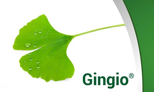 Gingio 80 mg. Koncentrovaná síla ginkgo biloba.