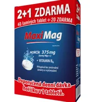 Zdrovit MaxiMag Hořčík 375 mg + B6