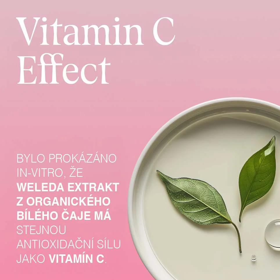 Weleda Rozjasňující denní krém Divoká růže a Bílý čaj BIO 40 ml