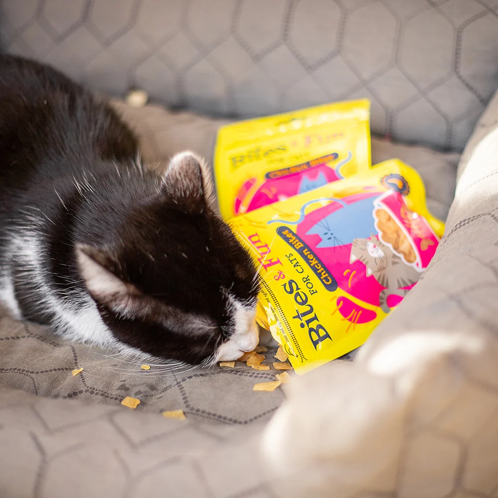 Akinu BITES & FUN Jehněčí & kuřecí & kachní pamlsek pro kočky 12 balení 60 g