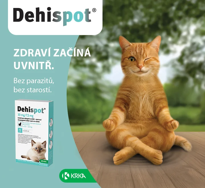 Dehispot. Zdraví začíná uvnitř. Bez parazitů, bez starostí.