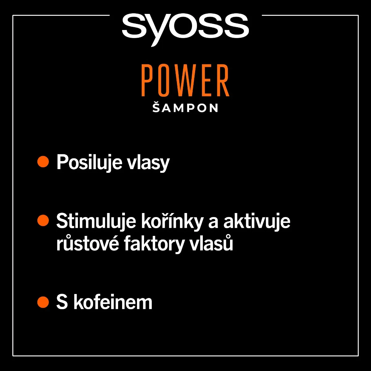 Syoss MEN Power šampon na normální vlasy 750 ml