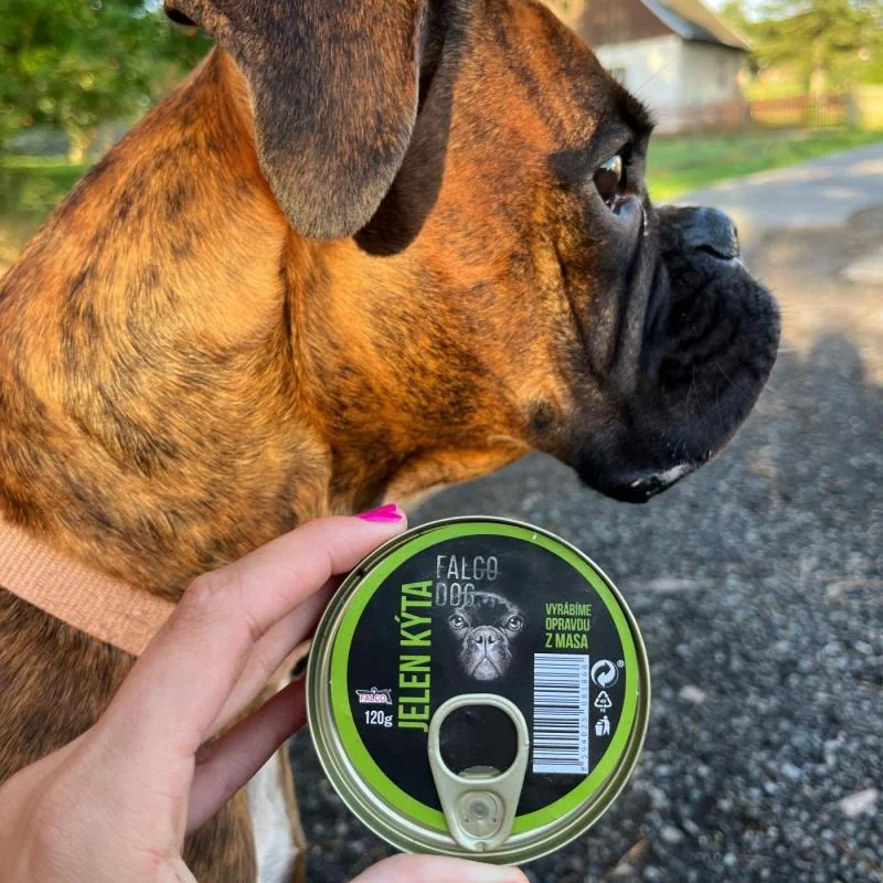 Sokol Falco DOG jelen kýta 120g