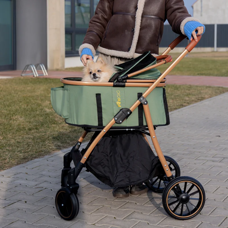 PetiGIO peti-to-Travel kočárek pro psy a kočky Green