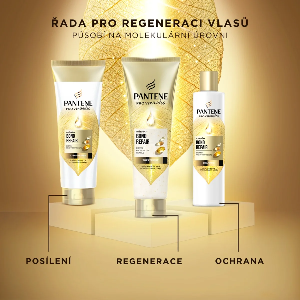 Pantene Pro-V Bond Repair šampon na poškozené vlasy 250 ml