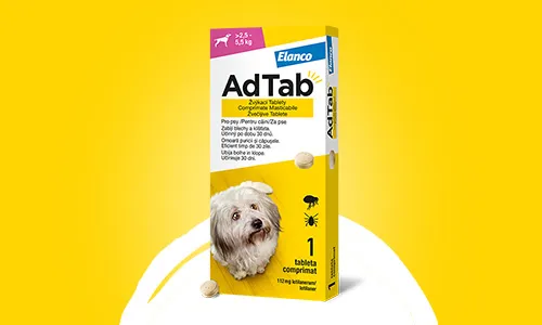 AdTab Žvýkací tablety pro psy - účinnost proti klíšťatům a blechám.