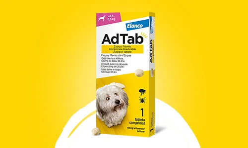 AdTab Žvýkací tablety pro psy - účinnost proti klíšťatům a blechám. AdTab Žvýkací tablety pro psy - účinnost proti klíšťatům a blechám.