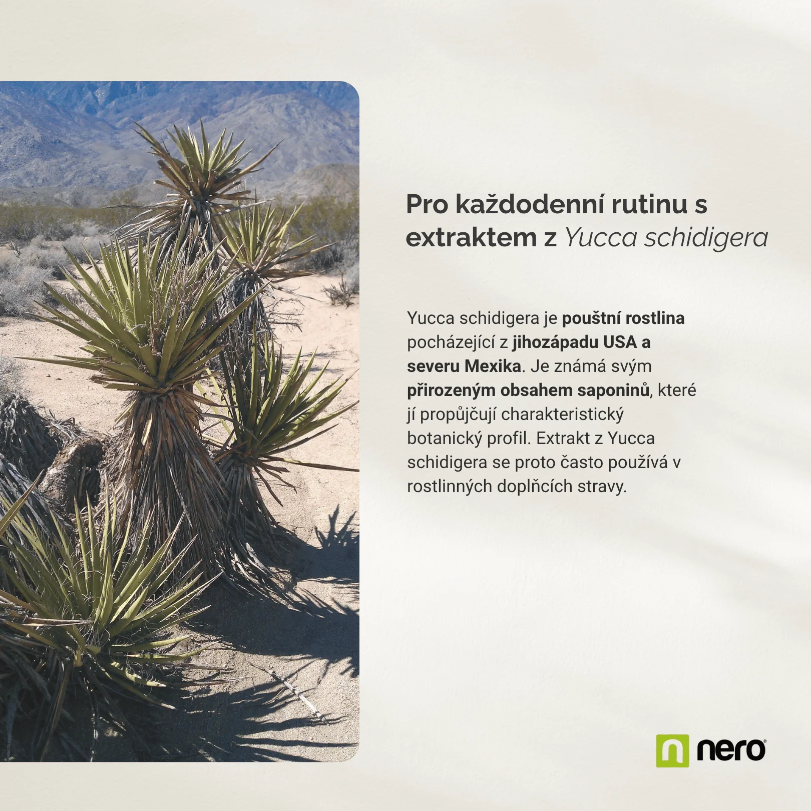 NERO Yucca Schidigera 500 mg 90 kapslí