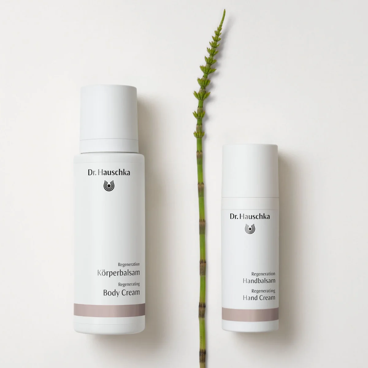 Dr.Hauschka Regenerační tělový krém 150 ml