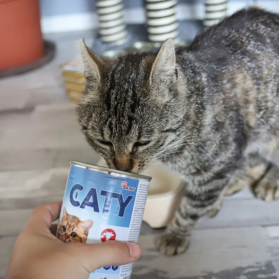 Akinu CATY Hovězí kousky v omáčce konzerva pro kočky 14 x 415 g