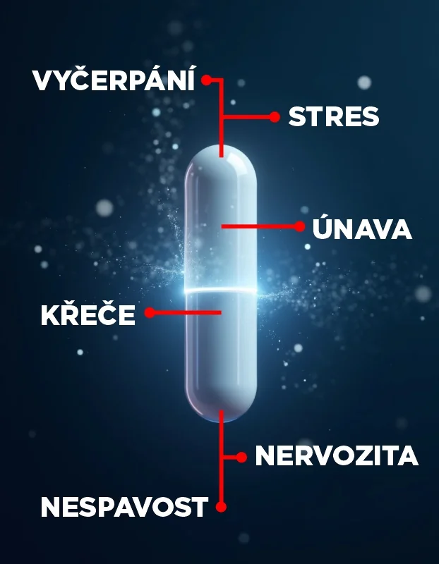 IQ Mag ENERGY organický hořčík malát + B6 90 tobolek
