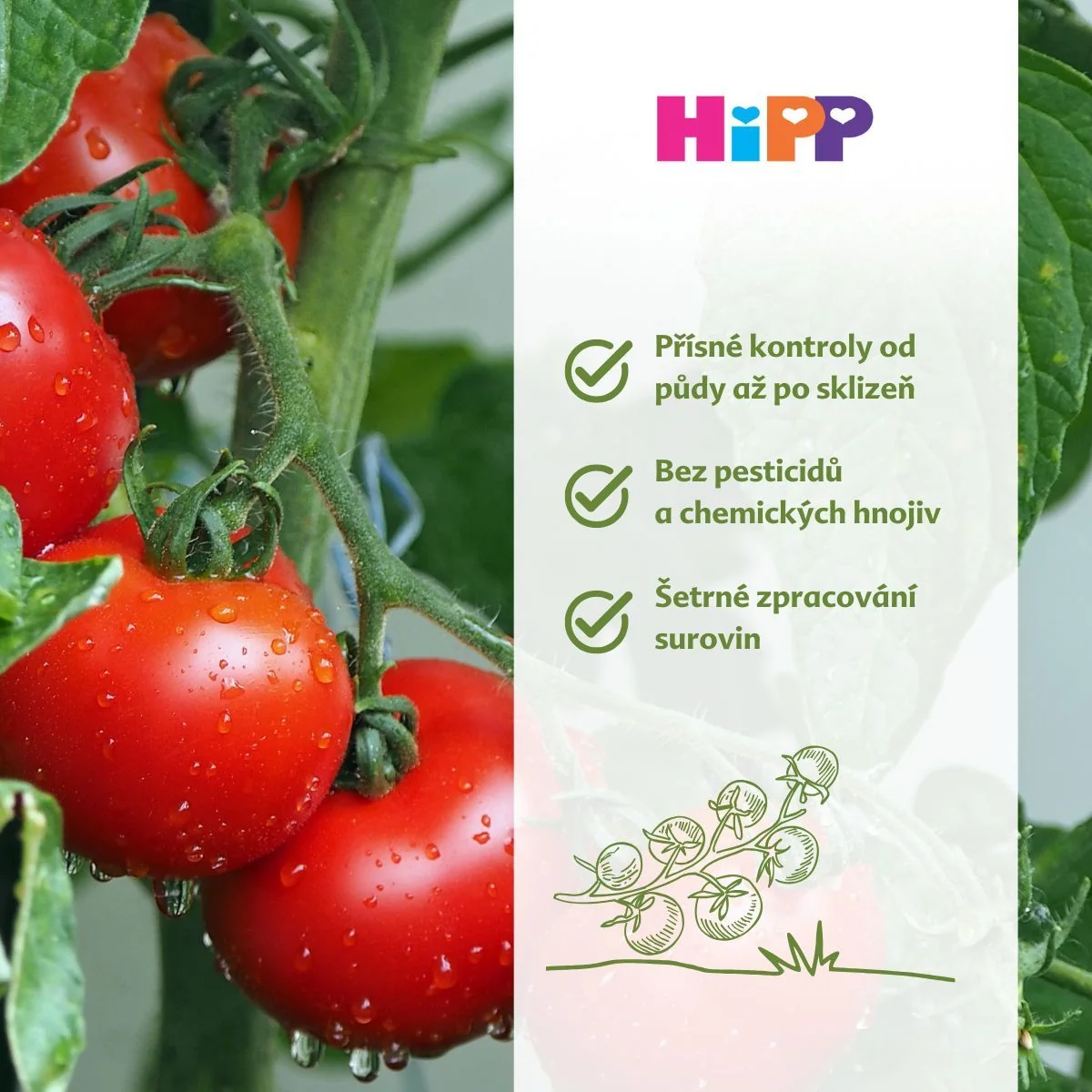 Hipp BIO Pasta Bambini Rajčata se špagetami a mozarellou 220 g