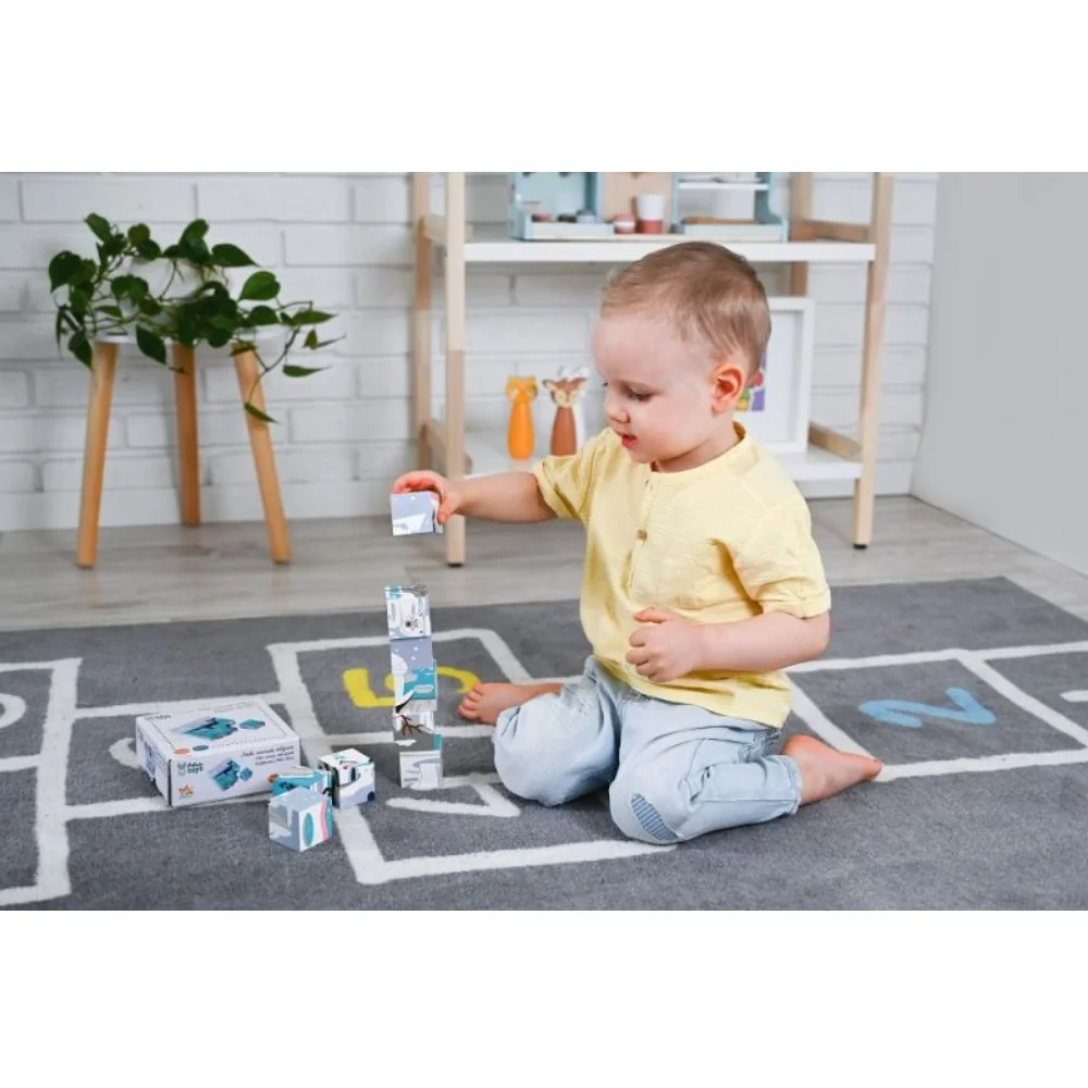Adam Toys Dřevěné naučné kostky Antarktida - 9 ks