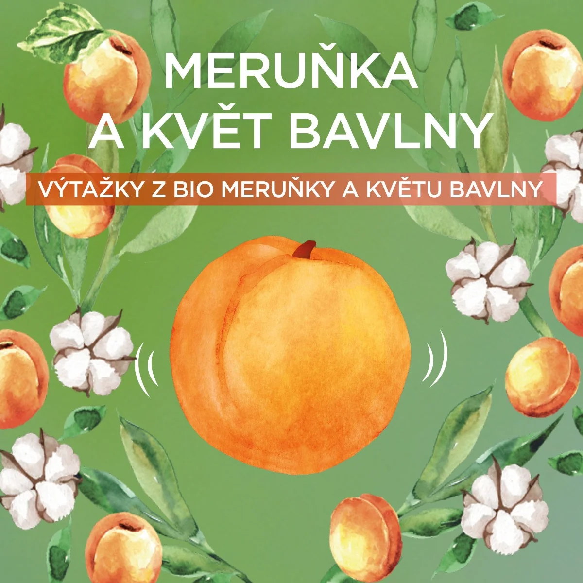 Garnier Botanic Therapy Kids 2v1 meruňka šampon a kondicionér 400 ml