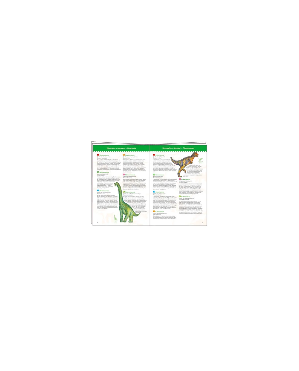 Djeco Obrázkové puzzle Dinosauři - 100 pcs