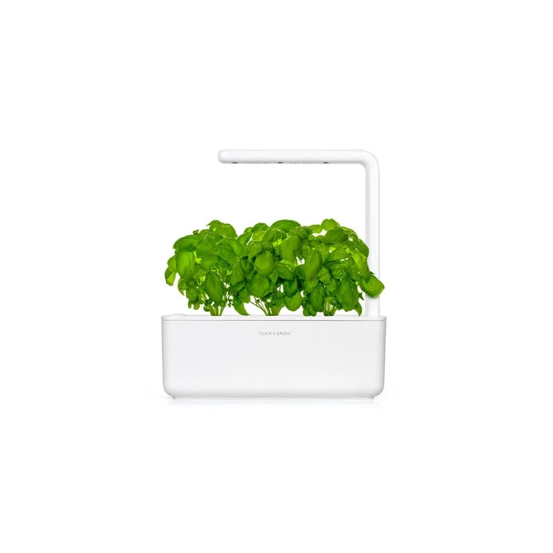 Click & Grow Náplň pro chytré květináče 3 ks - bazalka