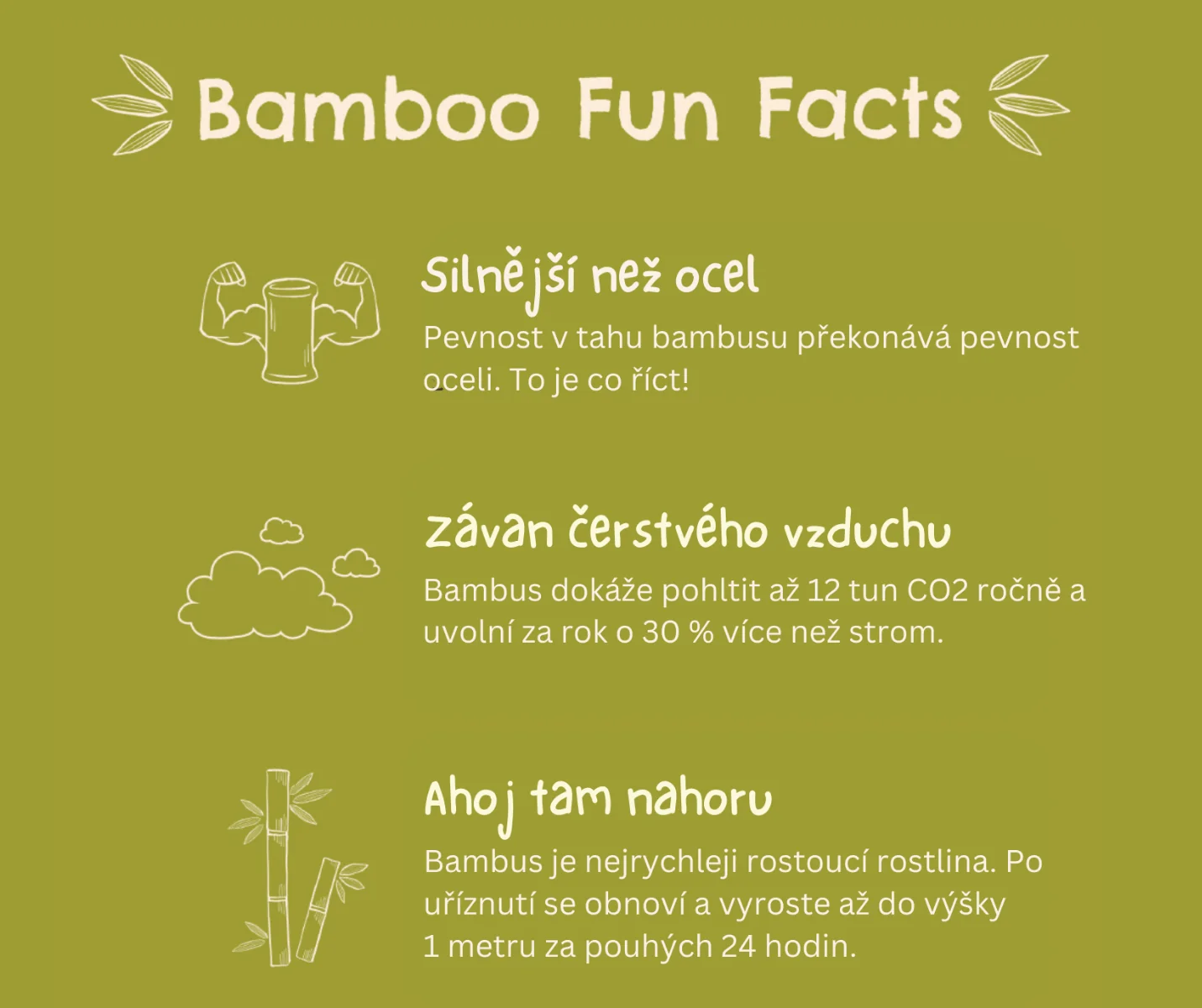 Munchkin Bamboo Miska s přísavkou a lžičkou