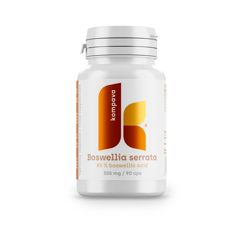 KOMPAVA Boswellia serrata 305 mg 90 kapslí 