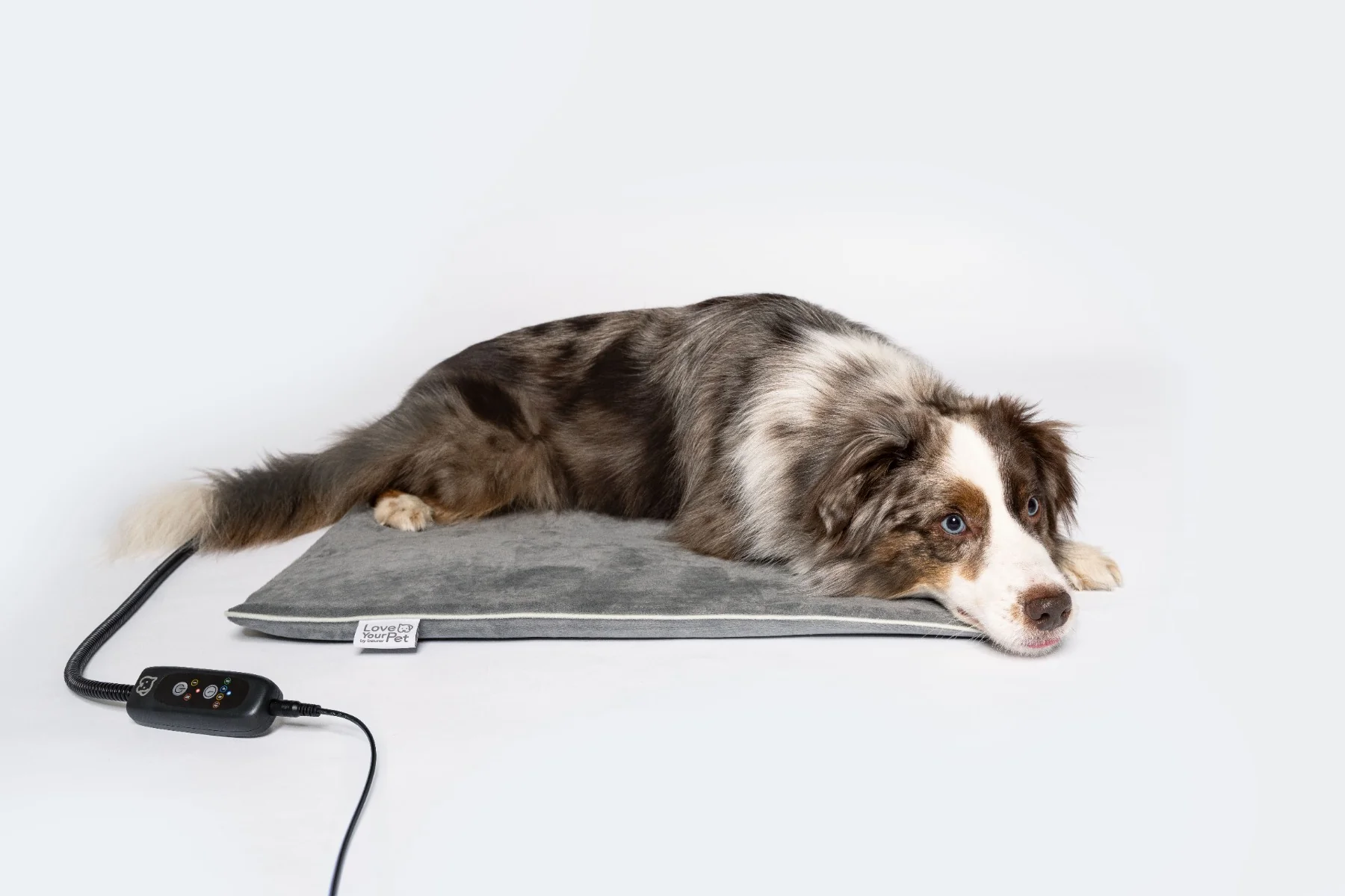 Beurer PET program Vyhřívaná podložka PP220 Sammy 65 x 50 cm šedá