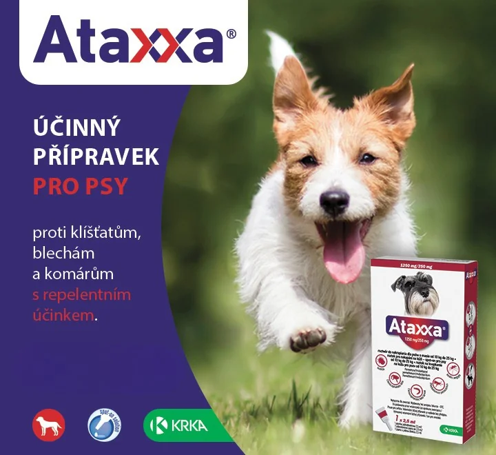 Ataxxa. Účinný přípravek pro psy proti klíšťatům, blechám a komárům s repelentním účinkem.