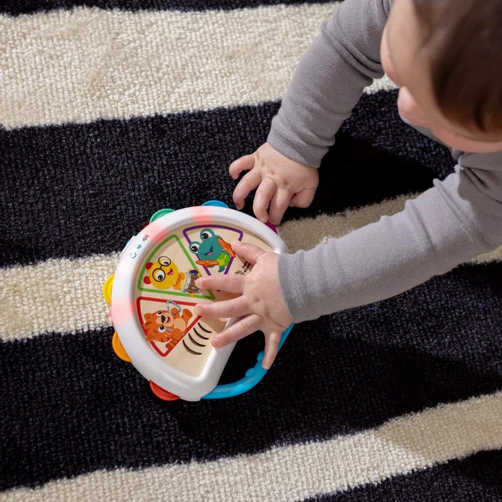 Baby Einstein Hračka hudební tamburína Tap & Shake™ Magic Touch™ HAPE 6m+