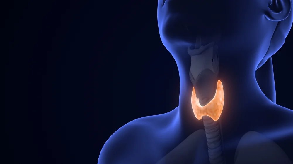 Cílem léčby je zmírnění příznaků a udržení správných hodnot hormonů štítné žlázy. Cílem léčby je zmírnění příznaků a udržení správných hodnot hormonů štítné žlázy.