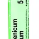Boiron ARSENICUM ALBUM CH5 granule 4 g