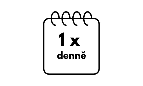 ikona