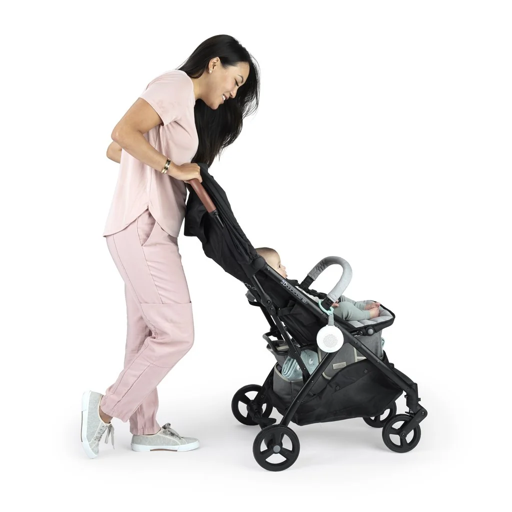 Ingenuity Přehrávač hudební s bluetooth Pock-a-Bye Baby™ 6m+