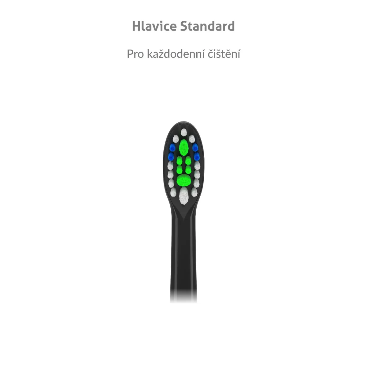Truelife SonicBrush Compact Heads Standart Black náhradní hlavice 8 ks