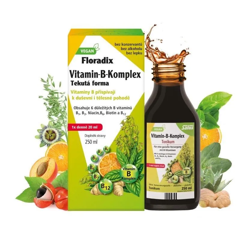 Salus Floradix Vitamin-B-komplex