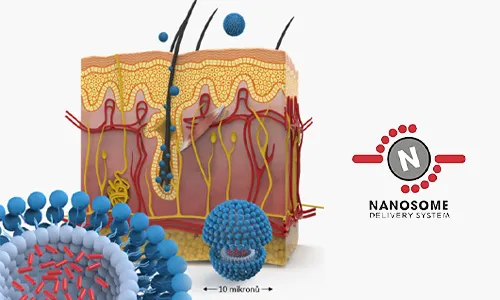 Produkty DS Laboratories obsahují nanosomy - speciální metodu přenosu aktivních látek přímo k vlasovým kořínkům.