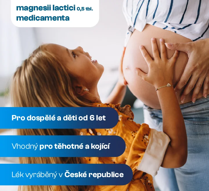 Medicamenta Magnesii lactici 0,5 tbl. 100 tablet