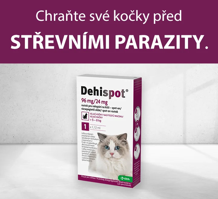 Chraňte své kočky před střevními parazity Chraňte své kočky před střevními parazity