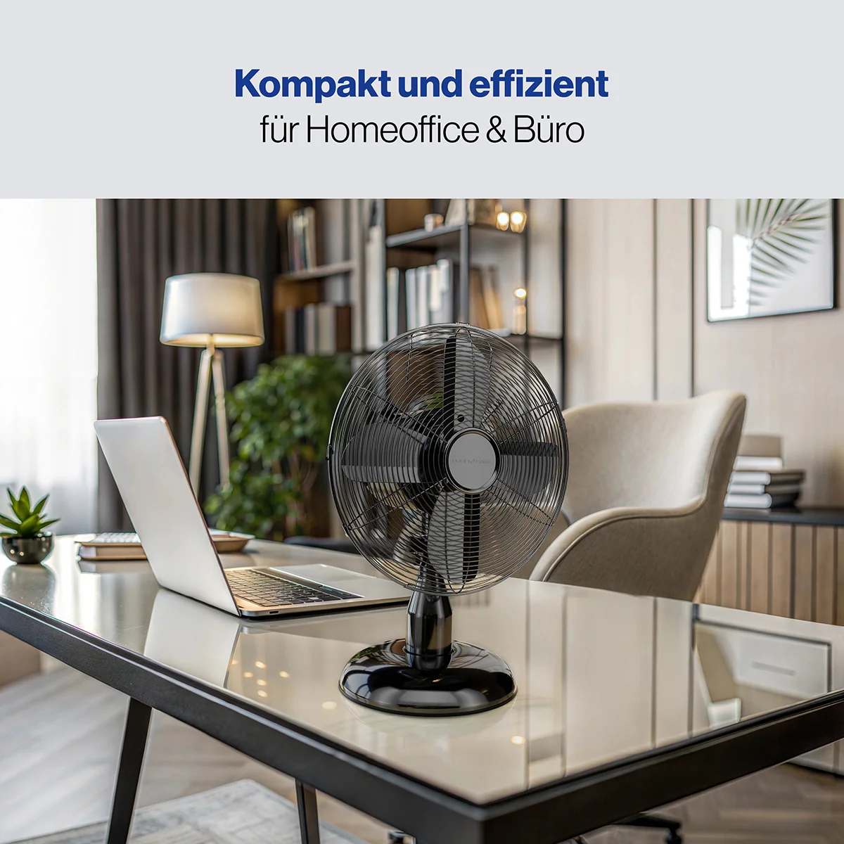 ProfiCare VL 3062 BK ventilátor 25cm kovový černý