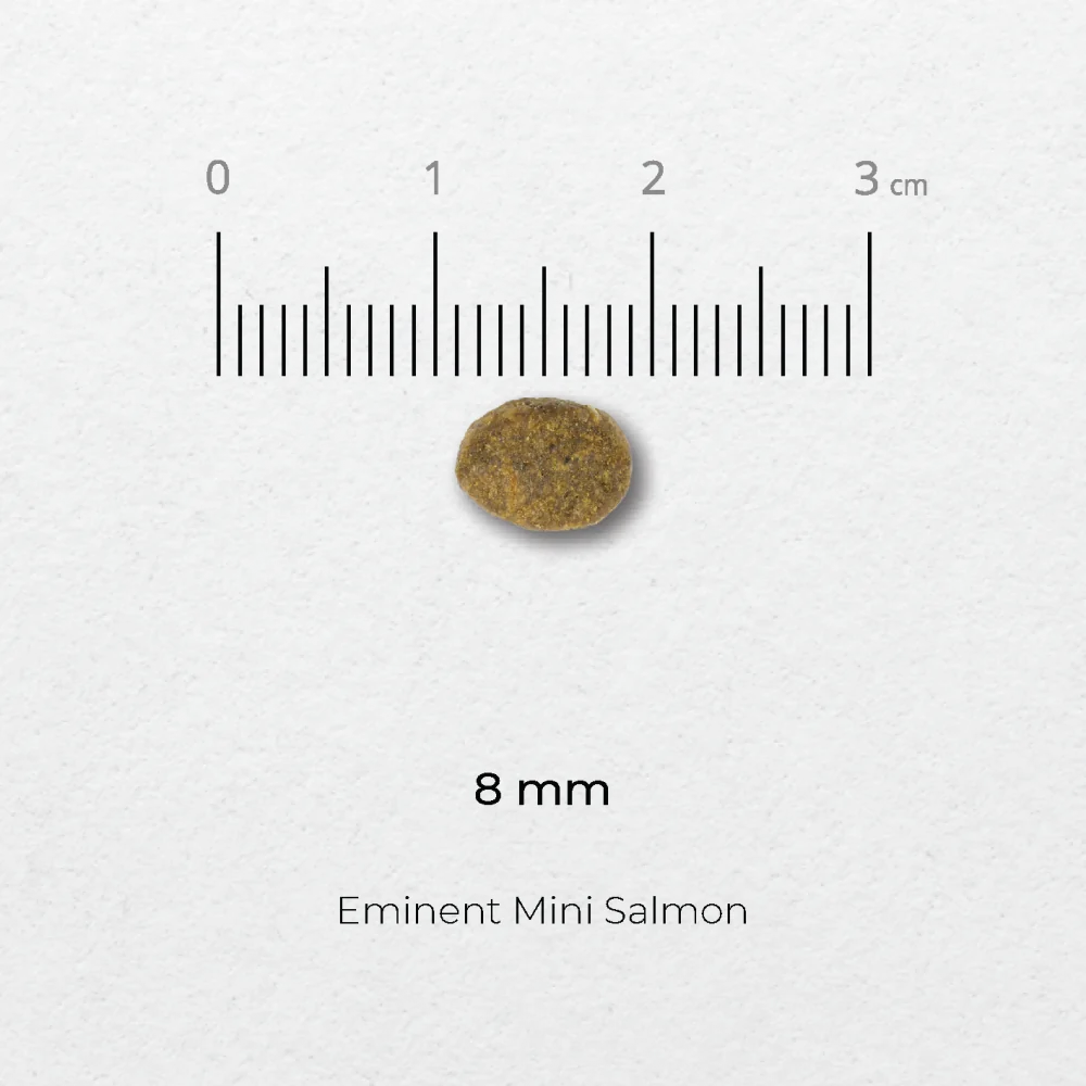 Eminent Mini SALMON 2 kg
