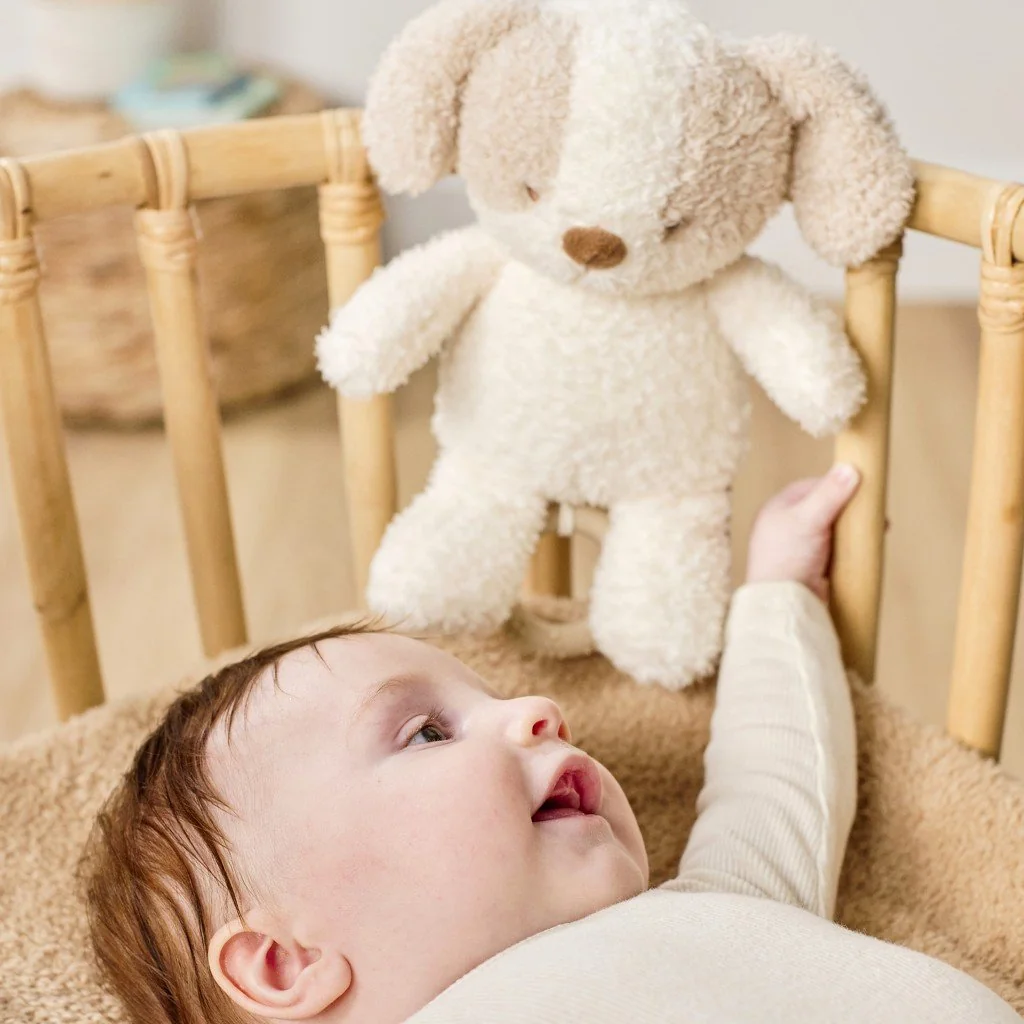 Nattou Hračka plyšová hudební Teddy pejsek 24 cm, 0m+