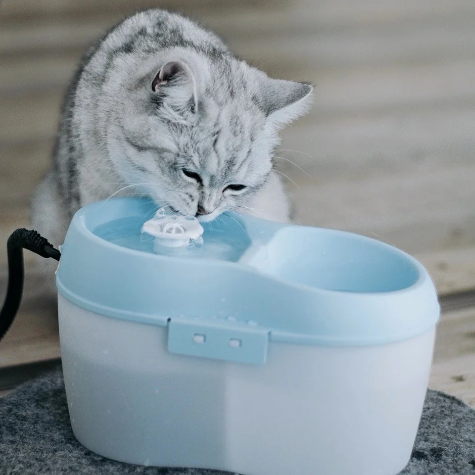 Akinu Cat H2O fontána pro kočky a malé psy 220 V