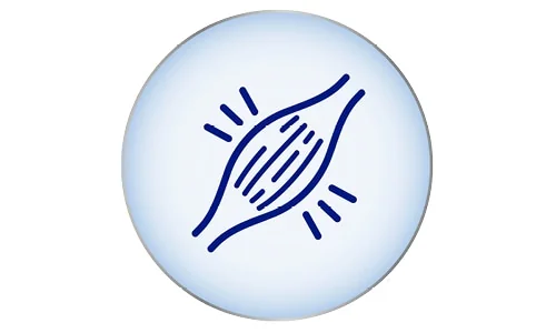 ikona