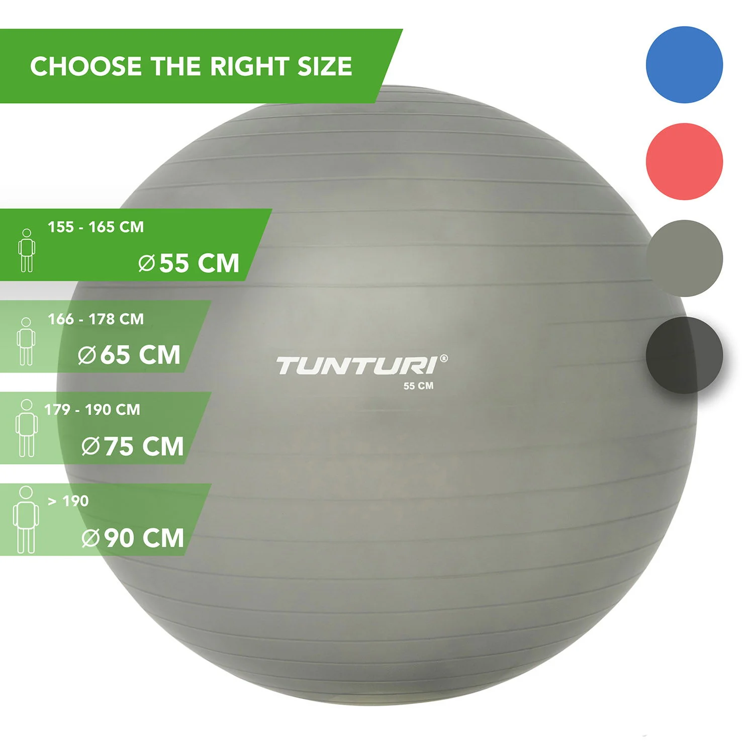Tunturi Gymnastický míč s pumpičkou stříbrný varianta 90 cm