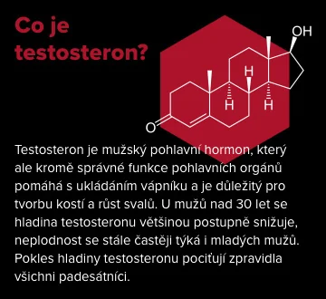 Co je testosteron? Testosteron je mužský pohlavní hormon, který ale kromě správné funkce pohlavních orgánů pomáhá s ukládáním vápníku a je důležitý pro tvorbu kostí a růst svalů. U mužů nad 30 let se hladina testosteronu většinou postupně snižuje. Co je testosteron? Testosteron je mužský pohlavní hormon, který ale kromě správné funkce pohlavních orgánů pomáhá s ukládáním vápníku a je důležitý pro tvorbu kostí a růst svalů. U mužů nad 30 let se hladina testosteronu většinou postupně snižuje.