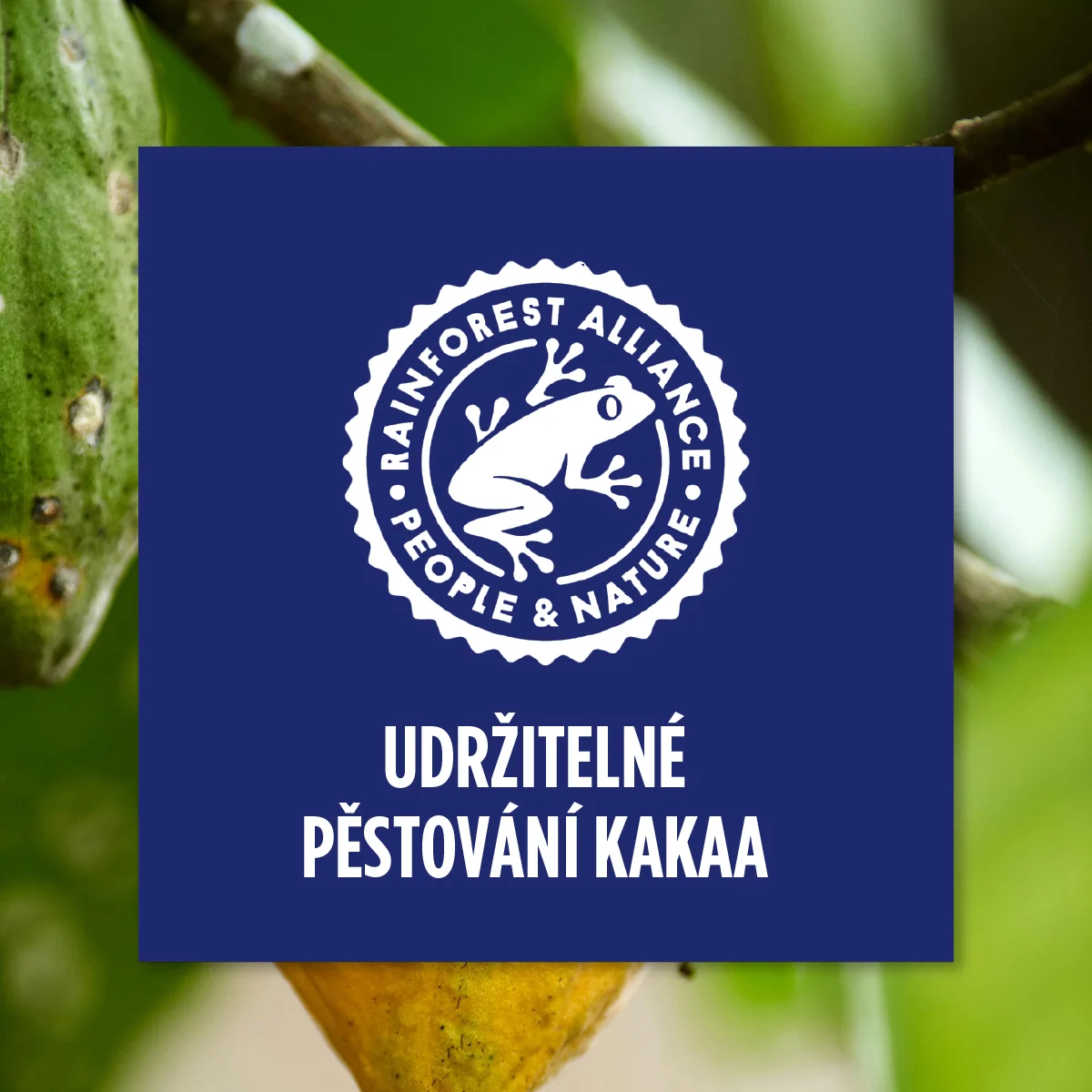 Corny Protein SOFT hořká čokoláda-brownie 45 g