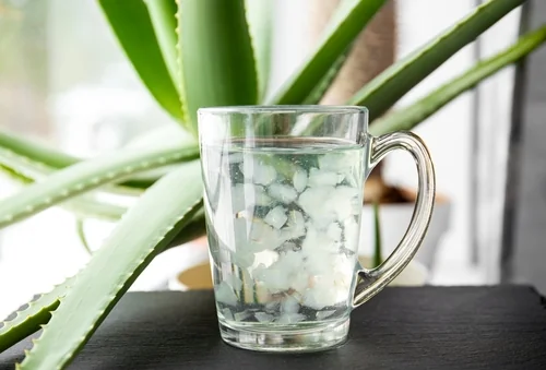 Aloe Vera  vroba, pouit a tipy pro krsnj ple | Dr. Max Lkrna