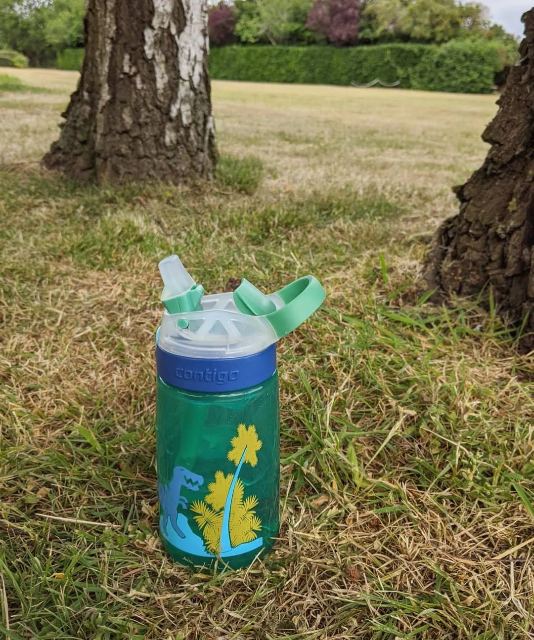 Contigo Dětská láhev Gizmo Flip Jungle Dino zelená 420 ml