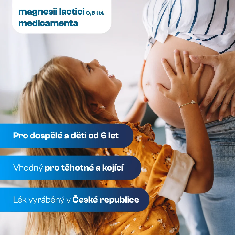 Medicamenta Magnesii lactici 0,5 tbl. 50 tablet